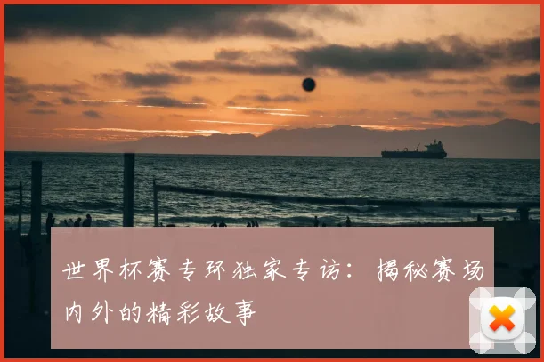 世界杯赛专环独家专访：揭秘赛场内外的精彩故事