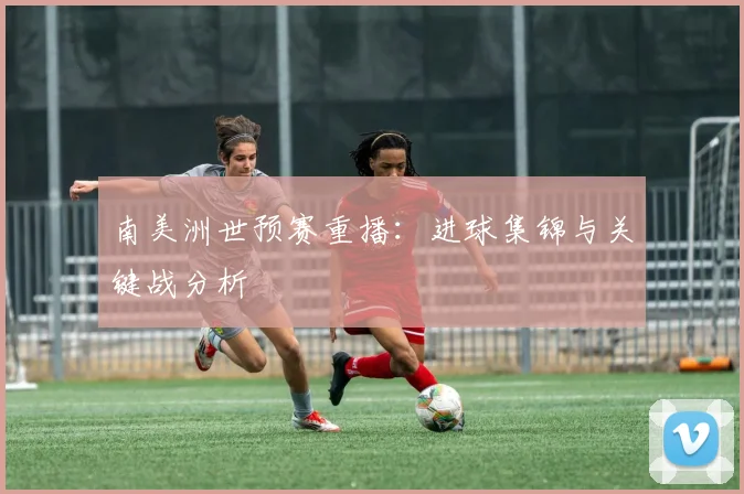 南美洲世预赛重播：进球集锦与关键战分析