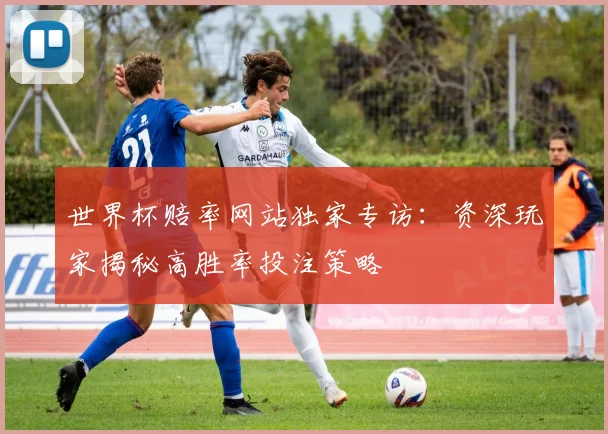 世界杯赔率网站独家专访：资深玩家揭秘高胜率投注策略