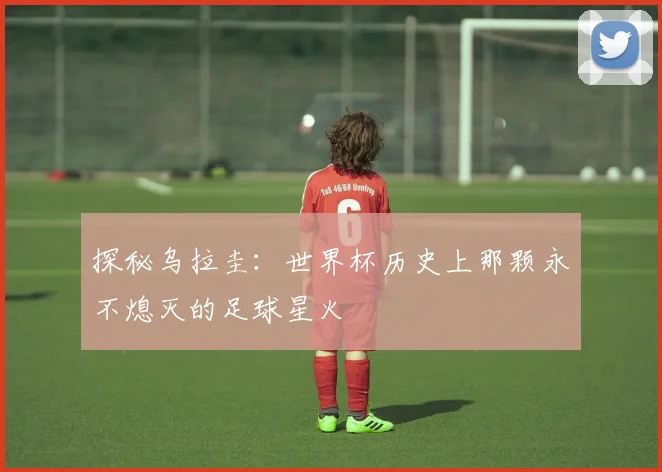 探秘乌拉圭:世界杯历史上那颗永不熄灭的足球星火
